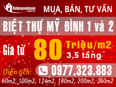 Biệt thự mỹ đình 1 và 2